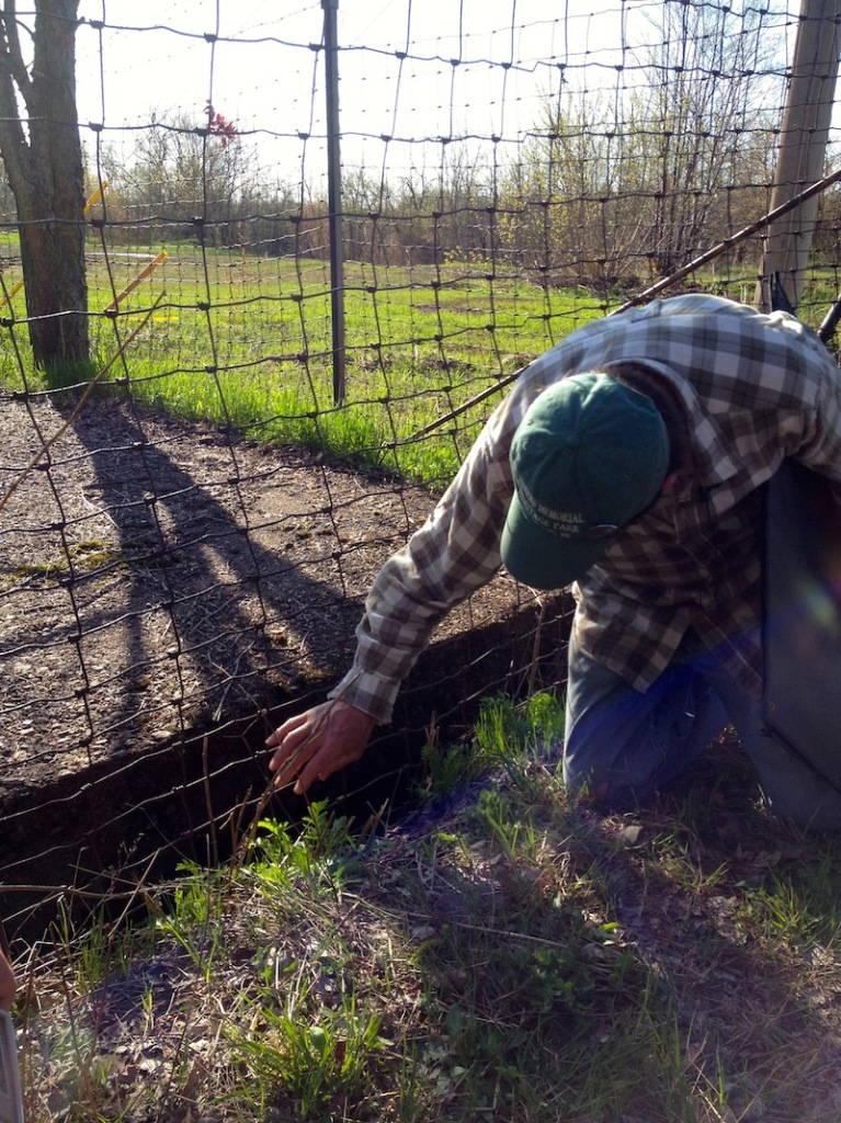A volunteer guide from the Friends of Miners Memorial Heritage Park tosses a stone into an abandoned mineshaft. Click to enlarge. (Summer, 2014)
