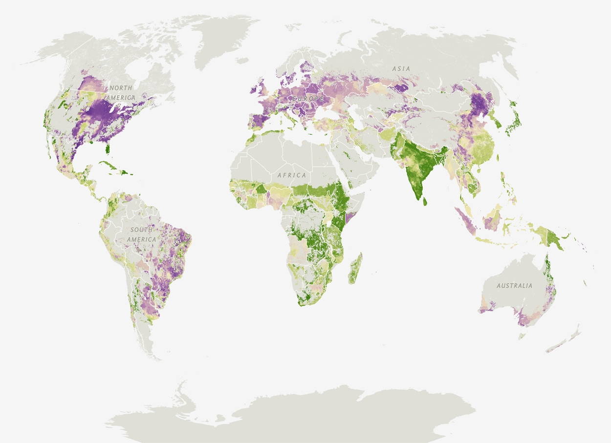 Look to the Land Visualizing Change in Agriculture Edge Effects