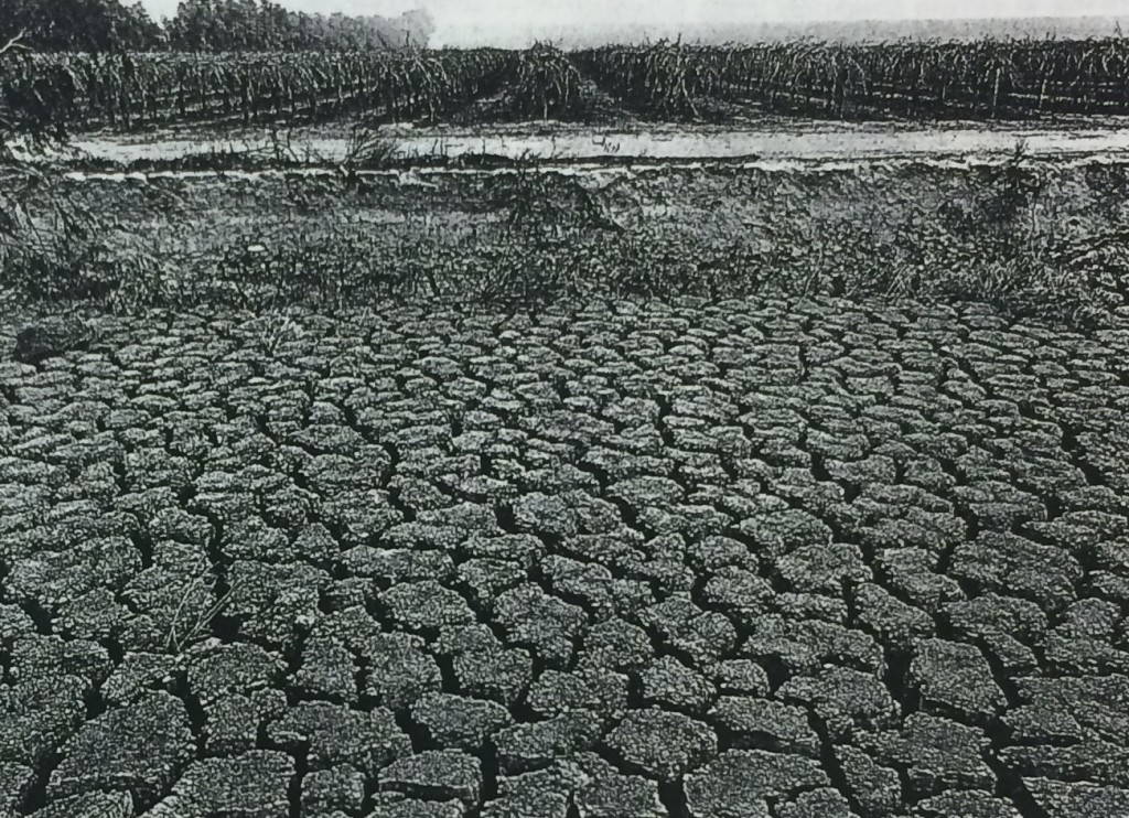 A Hundred Rivers Run Through It. Photo by Robert Dawson, Harpers Magazine, June 1998. Water Resources Collections and Archives, UC-Riverside.