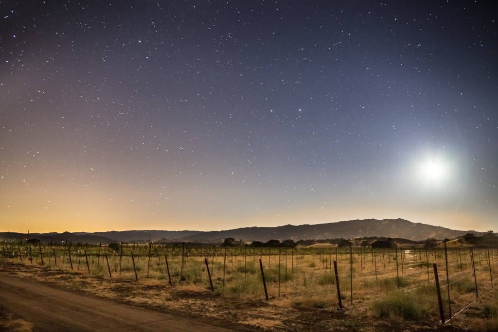 Moonset over a fallow field, Winters, California, 2014. Photo by flickr user John Uhrig (CC BY 2.0).