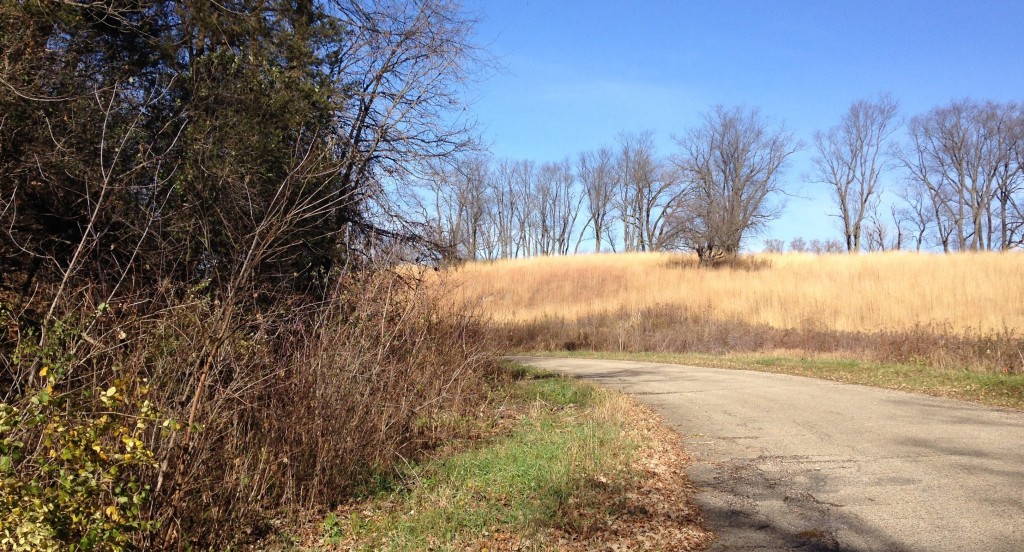 Restoration volunteer efforts have helped the Hillside Prairie remnant reclaim land from encroaching brush on the site of the former Badger Army Ammunition Plant. Source: Author.