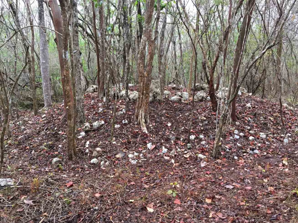 A typical ring structure as it appears in the archaeological record. You can make out the ring of large stones on top of the low mound. These would have surrounded a central pit where burnt lime was produced. Photo by Ken Seligson.