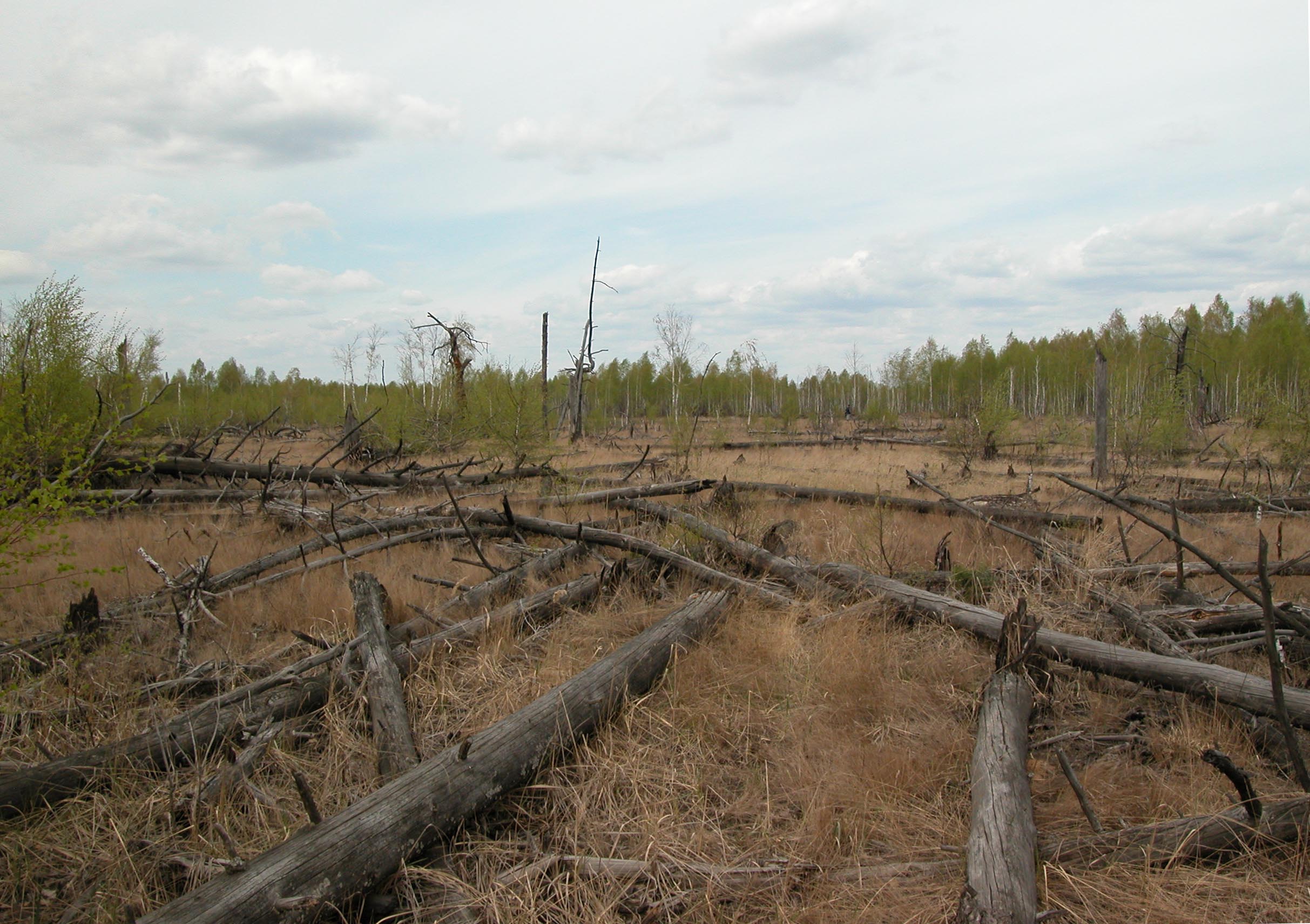 chernobyl-at-thirty-a-special-edition-environment-and-health