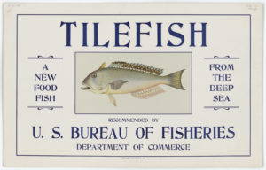 A poster distributed to fishmongers and supermarkets by the USBF to advertise Tilefish. Government Printing Office, 1916.