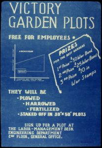 While victory gardens were tended by individual families or community groups, flyers like this one show that the gardens were also sponsored by many American companies. Those who responded to such opportunities connected themselves not only to the war effort but also to their place of employment as well. Public domain.