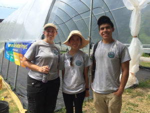 Undergraduate students Bridget Shobe, Kha-Ai Tran, and Jose Marquina join Dr. Biehler on her research team. Photo by Shannon LaDeau, 2016.
