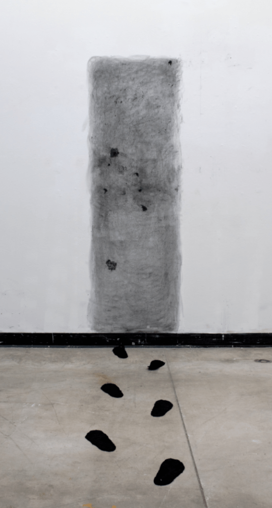 Anna Lehner, Anthropocene, Charcoal and Glass, 2016 Dimensions for install: 6 ft H, 3. 5 ft W, 5 ft D. This installation, placed in the common space of the University of Wisconsin-Madison’s Art Loft, was a meditation on the effects of our man-made environments. Footprints lead to an impassible doorway created out of carbon.