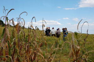 A Mexican farmer shows visitors his conservation agriculture wheat crop being grown in rotation with conventional maize. Photo by International Maize and Wheat Improvement Center (CIMMYT) via <a href="https://www.flickr.com/photos/cimmyt/6244407971" target="_blank">Flickr</a>.
