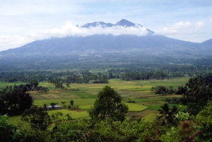 A view of Sumatra’s rice fields at the foot of Mt. Singgalang, 1989-1990. Photo by <a href="http://web.ics.purdue.edu/~blackwoo/photos.htm#" target="_blank">Evelyn Blackwood</a>.