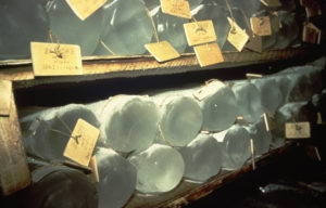 The film reveals details just how humble and arduous the labor of this science actually was. Image courtesy of Eskwad-Wild Touch-CNRS.