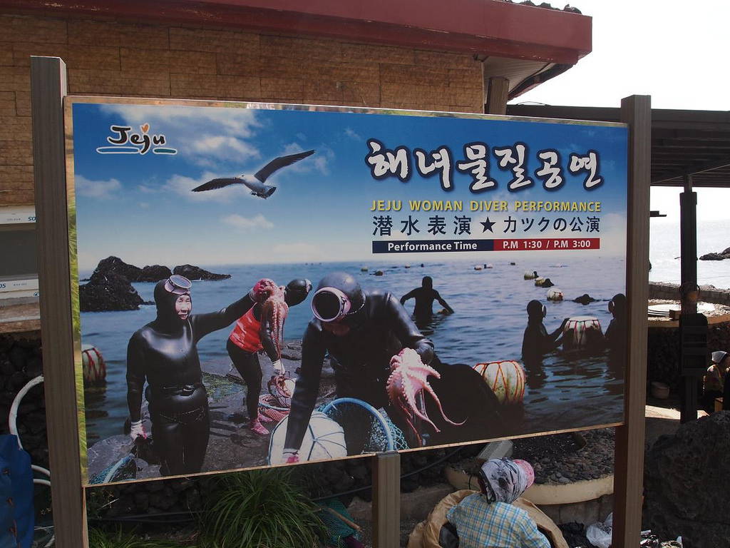Haenyeo divers have become a tourist attraction on the island of Jeju. Photo by Walter Lim, June 2012.