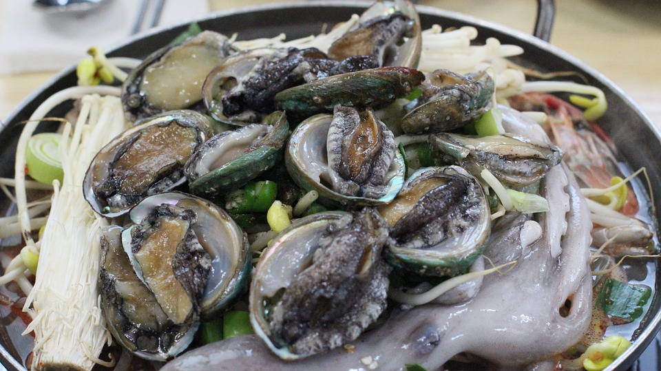 Abalone and octopus caught off the coast of Jeju, Korea. Photo from Max Pixel.