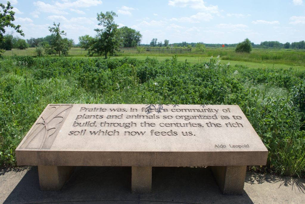 A 1942 quote from Aldo Leopold’s manuscript “Prairie: The Forgotten Flora” greets visitors to Midewin. The ecological practice of prairie restoration originated with Leopold’s work on the Curtis Prairie at the University of Wisconsin–Madison Arboretum in 1935. Midewin’s mission to reconnect people with the prairie takes to heart Leopold’s invocation in <em>A Sand County Almanac</em>: “We grieve only for what we know. The erasure of Silphium from western Dane County is no cause for grief if one knows it only as a name in a botany book.” Photo by Sean Thoel, 2017.