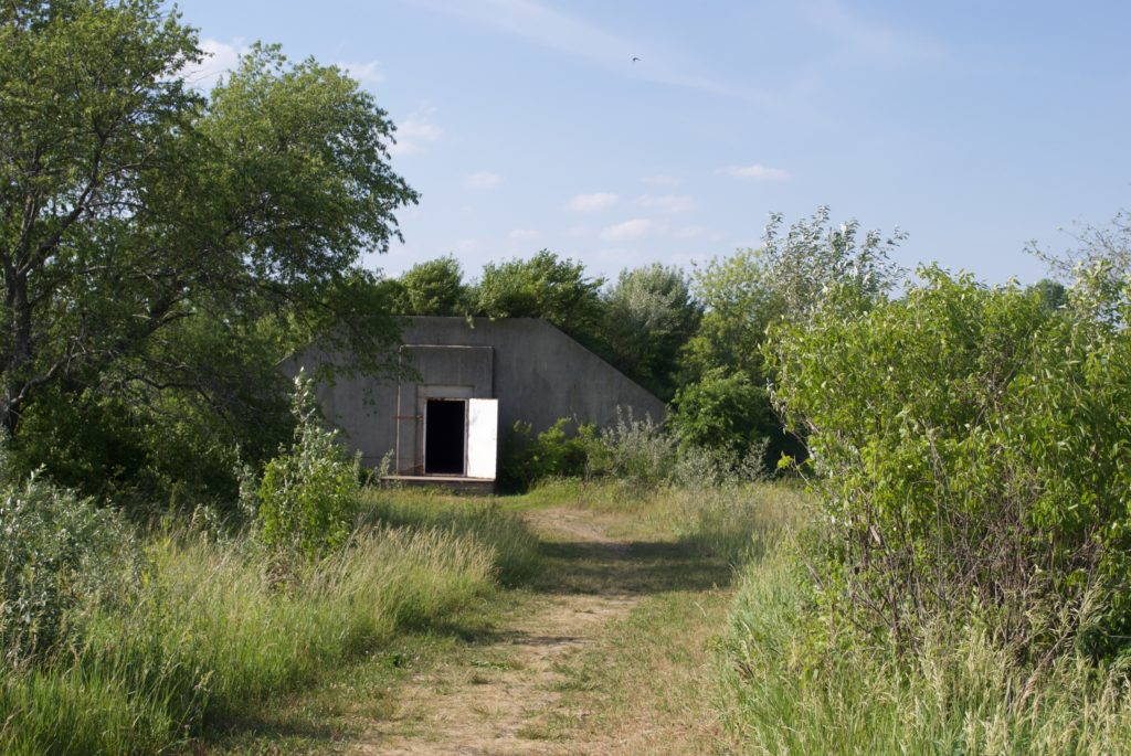 The Midewin landscape is dotted with hundreds of abandoned concrete ammunition storage bunkers like this one. Some of these bunkers have found new life as on-site storage facilities for dormant prairie seed. As luck would have it, both explosives and the seeds of prairie grasses are best stored in cool, dark, and dry conditions. Photo by Sean Thoel, 2017.