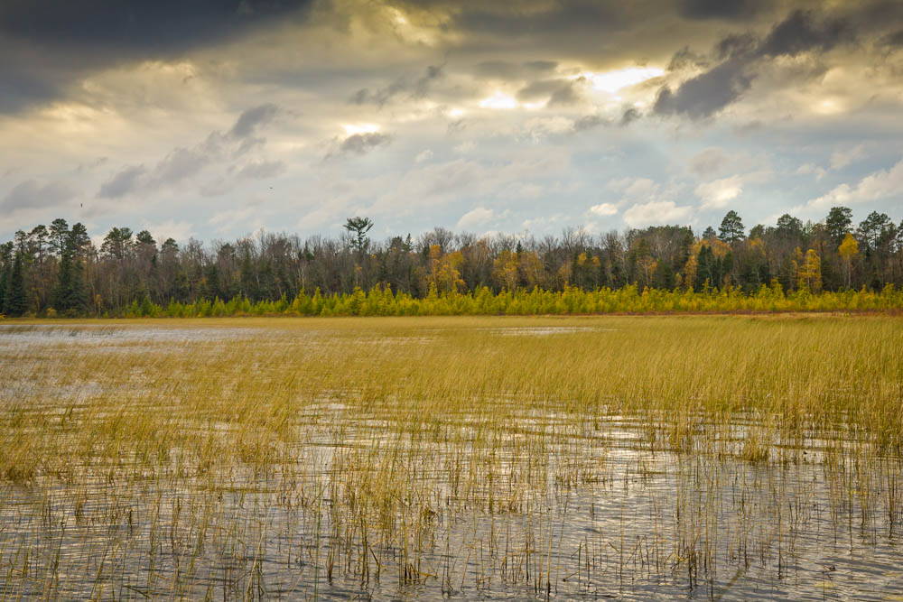 A landscape photo of a lake at sunset with yellow-brown reeds sticking up out of the water.