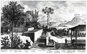 A black-and-white engraving of an indigo plantation with mountains in the background.