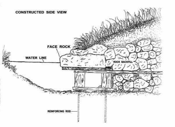 Humans, Streams, and the Desire to Manage - Edge Effects