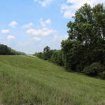 The sixty-foot levee raised by the Army Corps of Engineers on both sides of the river in the wake of the 1927 flood, leaving Davis Island (down to the right) susceptible to even higher waters. (Hamilton, 2014) The sixty-foot levee raised by the Army Corps of Engineers on both sides of the river in the wake of the 1927 flood, leaving Davis Island (down to the right) susceptible to even higher waters. (Hamilton, 2014)