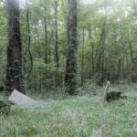 The Davis Family cemetery contains more graves than markers. Repeated flooding has toppled, eroded, and swept away stones. (Hamilton, 2014) The Davis Family cemetery contains more graves than markers. Repeated flooding has toppled, eroded, and swept away stones. (Hamilton, 2014)