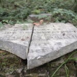 What remains of the headstone marking the grave of Joseph Davis, who purchased an immense tract of rich Mississippi bottomland with abundant river frontage in 1818. He sold thousands of acres off to friends and gifted what would become Brierfield to his youngest brother, Jefferson. Benjamin Montgomery, who managed Joseph’s plantation while enslaved and bought and ran both plantations for twelve years after the war, is also buried on Davis Island, but his grave has not been located. (Hamilton, 2014) What remains of the headstone marking the grave of Joseph Davis, who purchased an immense tract of rich Mississippi bottomland with abundant river frontage in 1818. He sold thousands of acres off to friends and gifted what would become Brierfield to his youngest brother, Jefferson. Benjamin Montgomery, who managed Joseph’s plantation while enslaved and bought and ran both plantations for twelve years after the war, is also buried on Davis Island, but his grave has not been located. (Hamilton, 2014)