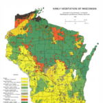 Early Vegetation of Wisconsin, 1965. Used with permission of the <a href="http://wgnhs.uwex.edu/pubs/m035/" target="_blank">Wisconsin Geological and Natural History Survey</a>.