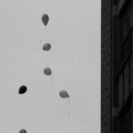 "Released." Photo by Andy Cogbill. "Released." Photo by Andy Cogbill.