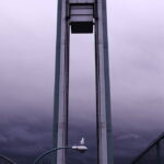 "Perched." Photo by Andy Cogbill. "Perched." Photo by Andy Cogbill.