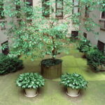 "Potted." Photo by Andy Cogbill. "Potted." Photo by Andy Cogbill.