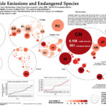 Analise Lindborg, Carbon Dioxide Emissions and Endangered Species Analise Lindborg, Carbon Dioxide Emissions and Endangered Species