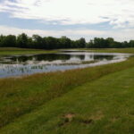 It's not hard to see evidence of indigenous history at Cahokia, with its massive mounds. But this wetland is also a clue to that past—it is one site where Cahokia's former inhabitants quarried to build their earthen structures. Photo by Eric Nost. borrow pit