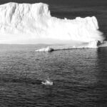 Antony Alder, St. John’s, Newfoundland. A small fishing vessel makes its way back to the safety of port past one of the massive icebergs that float south from Greenland on the Labrador current every spring. The top have of the photo is taken up by a massive iceberg. A single boat is dwarfed by the ice. The photo is in black and white.