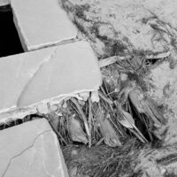 A detailed glimpse of the thatched roof of a kiva. A black and white photograph of the corner of a thatched roof of an ancient stone dwelling.