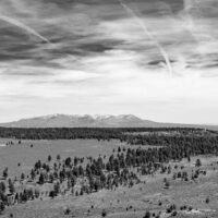Looking north from the Bears Ears. A black and white panoramic photograph of a distant mountain range with forests in the middleground.