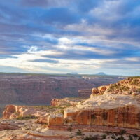 Looking north across Cedar Mesa. The Bears Ears are visible on the horizon. A panoramic photograph of a desert canyon with mountains in the background.