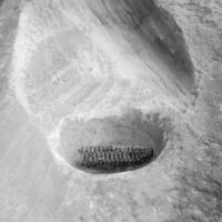 A depression has been worn in this sandstone boulder from grinding corn. Corn cobs and similar artifacts are common here. A black and white photograph of an indentation in the stone with an old corn cob inside.