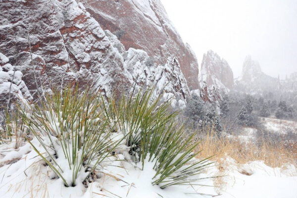 A blizzard covers rock formations at Garden of the Gods Park in snow. A blizzard covers rock formations at Garden of the Gods Park in snow.