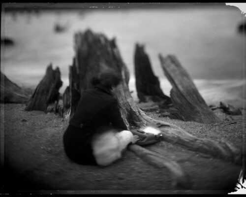 Tomiko Jones. From Rattlesnake Lake, 2013. Platinotypes (from scanned 4x5 film negatives) 16x20 A woman sitting in the sand types on a typewriter. The typewriter is nestled in the roots of a treestump.