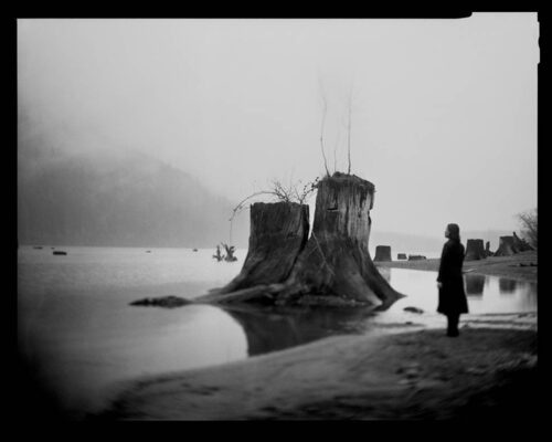 Tomiko Jones. From Rattlesnake Lake, 2013. Platinotypes (from scanned 4x5 film negatives) 16x20 A person stands along the edge of the water looking across the horizon. Near them are two large tree stumps which are much taller than the standing person.