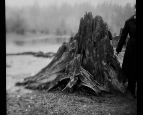 Tomiko Jones. From Rattlesnake Lake, 2013. Platinotypes (from scanned 4x5 film negatives) 16x20 A large tree-stump fills the frame. A person stands next to it but they are cut in half by the frame.