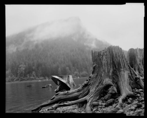 Tomiko Jones. From Rattlesnake Lake, 2013. Platinotypes (from scanned 4x5 film negatives) 16x20 In the foreground is a large tree stump with many roots. A person with a parasol sits nestled in the roots. You can only see their torso and parasol. In the background clounds start to gather across the treeline.