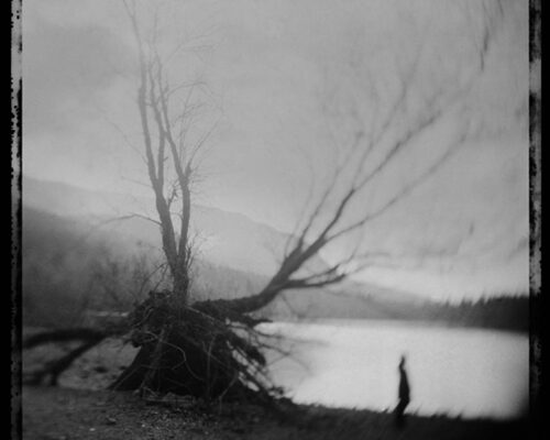 Tomiko Jones. From Rattlesnake Lake, 2013. Platinotypes (from scanned 4x5 film negatives) 16x20 A fallen tree and a blurred figure are perched at the water's edge. The tree roots blend into the hazy sky and it is unclear which direction the person faces.