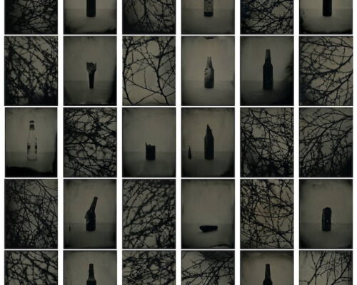 Jon Hovarth. "Beer Bottles and Tumbleweeds (as Collected from the Hwy 30 Turnoff)," 2017. From the project This Is Bliss. Variable grids comprised of 8x10 tintypes Seven vertical and six horizontal photographs are arranged into one image. Each tile depicts either a beer bottle or a tumbleweed. Some of the beer bottles are broken and all are dark in color. The tumbleweeds fill their frames entirely.
