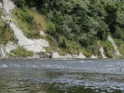 Traditional sites and settlements are known to members of the Māori community. One eel fishing structure remains in the lower river, seen here. A river with a wooden structure on the shore