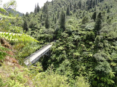 Jet boat trips leading to the nostalgic “Bridge to Nowhere,” a failed settlement above the river, are popular with tourists. A bridge stretches across a wooded ravine