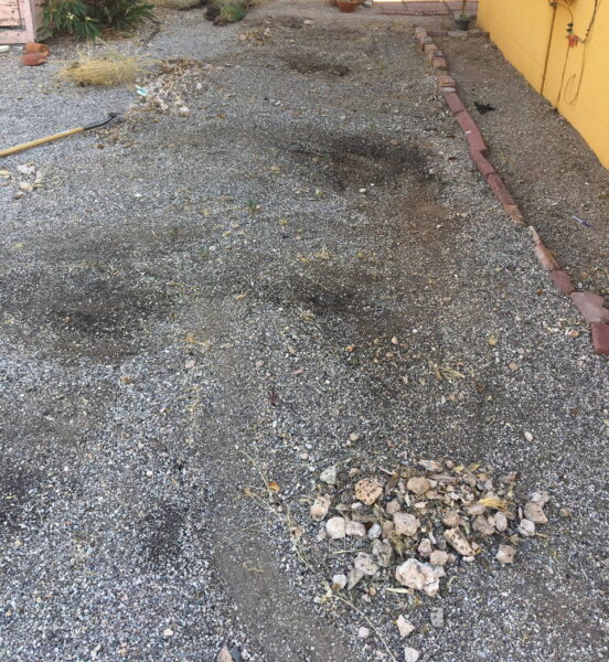The gravel scar left after the author's landlord ordered the garden's removal. Photo by author, 2019. Yard with gray gravel and line of landscape bricks