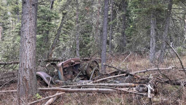 Old farm machinery abandoned in the woods. Photo by the author, 2021. Rusty dilapidated tractor covered by branches in the woods