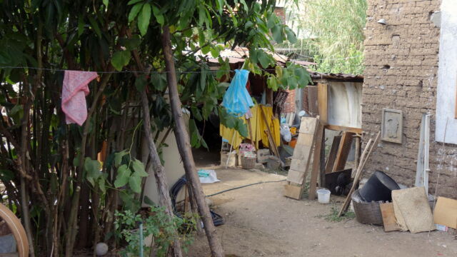 Enclosed compound, Teotitlán del Valle. Another peri-urban dwelling form is the enclosed compound. Instead of a house surrounding a courtyard as in the previous figure, the house is set into the yard, which is encompassed by a wall. The yard is then given over to household production and reproduction, including spaces for cooking, laundry, carpentry, kitchen gardens, storage, and weaving or pottery making. Many families also raise chickens, rabbits, pigeons, and other animals that do not require a lot of space to move about. A compound around a brick house, with trees, building supplies and hanging laundry.