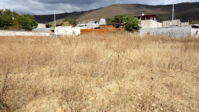 New construction in Santa Cruz Xoxocotlán. Throughout the municipality of Santa Cruz Xoxocotlán, the once mixed agricultural and pastoral communities are undergoing significant and rapid change. Areas like Colonia Buena Vista, shown above, are home both to older villagers as well as suburban commuters who have built many new houses in the area, drawn by the availability of relatively cheap land and close proximity to Oaxaca City, which is only 10 kilometers to the north. This outmigration of urban dwellers has led to increased inequality in the peri-urban landscapes. A grassy field in the foreground with houses behind it.