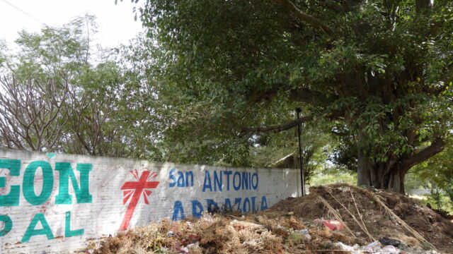 Wall of the Panteón General. Here at the southwest corner of San Antonio Arrazola's main cemetery, graveside flowers and grass clippings accumulate and decay next to a massive Tule tree. Cemeteries in peri-urban landscapes are under increasing pressure to accept burials of people from Oaxaca City, particularly if they have family ties to the area. Land is at a premium in town, and urban cemeteries full to bursting. Since cremation is not a popular option among traditionally-minded Catholic families, there is escalating demand for space to inter the dead. A painted cement wall forms a cemetery boundary along a road showing the mosaic of rural and urban elements that make up the peri-urban landscape