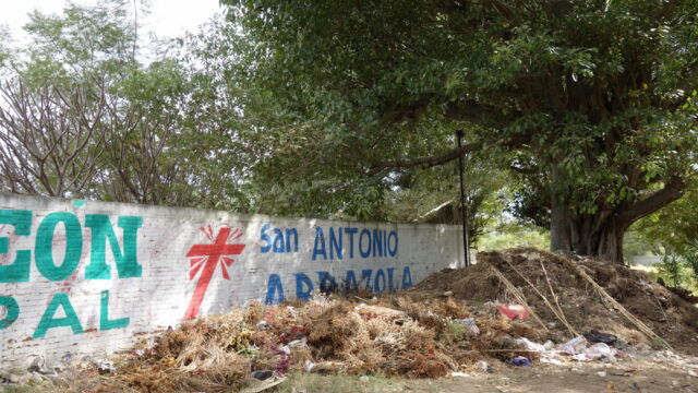 Wall of the Panteón General. Here at the southwest corner of San Antonio Arrazola's main cemetery, graveside flowers and grass clippings accumulate and decay next to a massive Tule tree. Cemeteries in peri-urban landscapes are under increasing pressure to accept burials of people from Oaxaca City, particularly if they have family ties to the area. Land is at a premium in town, and urban cemeteries full to bursting. Since cremation is not a popular option among traditionally-minded Catholic families, there is escalating demand for space to inter the dead. A painted cement wall forms a cemetery boundary along a road showing the mosaic of rural and urban elements that make up the peri-urban landscape